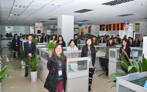 深圳金桔在線信息咨詢服務(wù)介紹